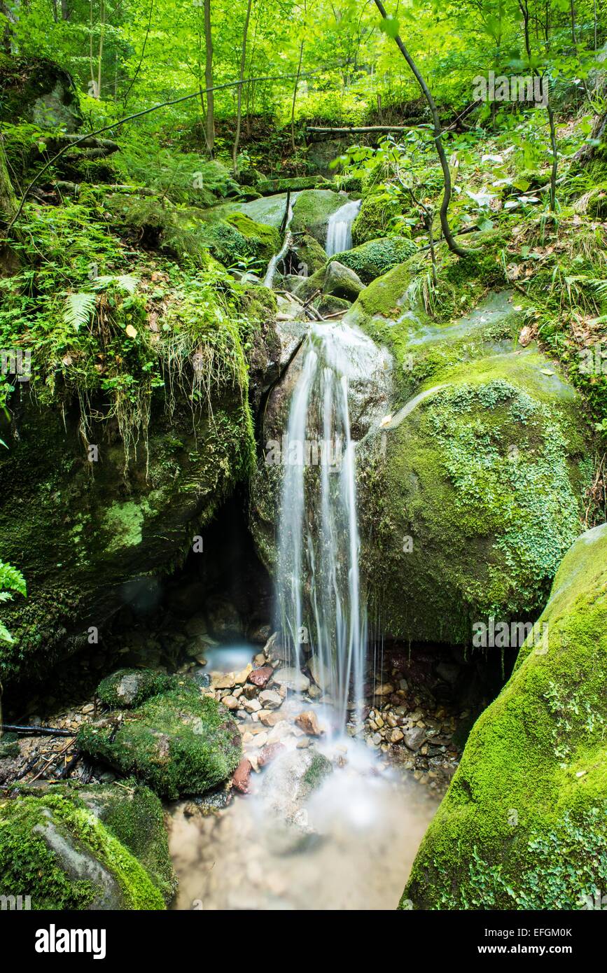 Waterfall forest stones hi-res stock photography and images - Alamy
