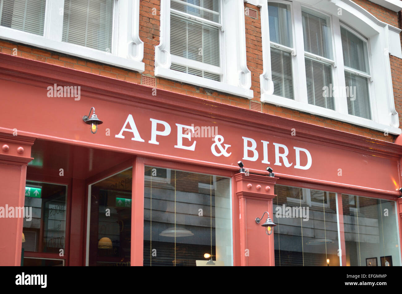 Ape And Bird High Resolution Stock Photography And Images Alamy