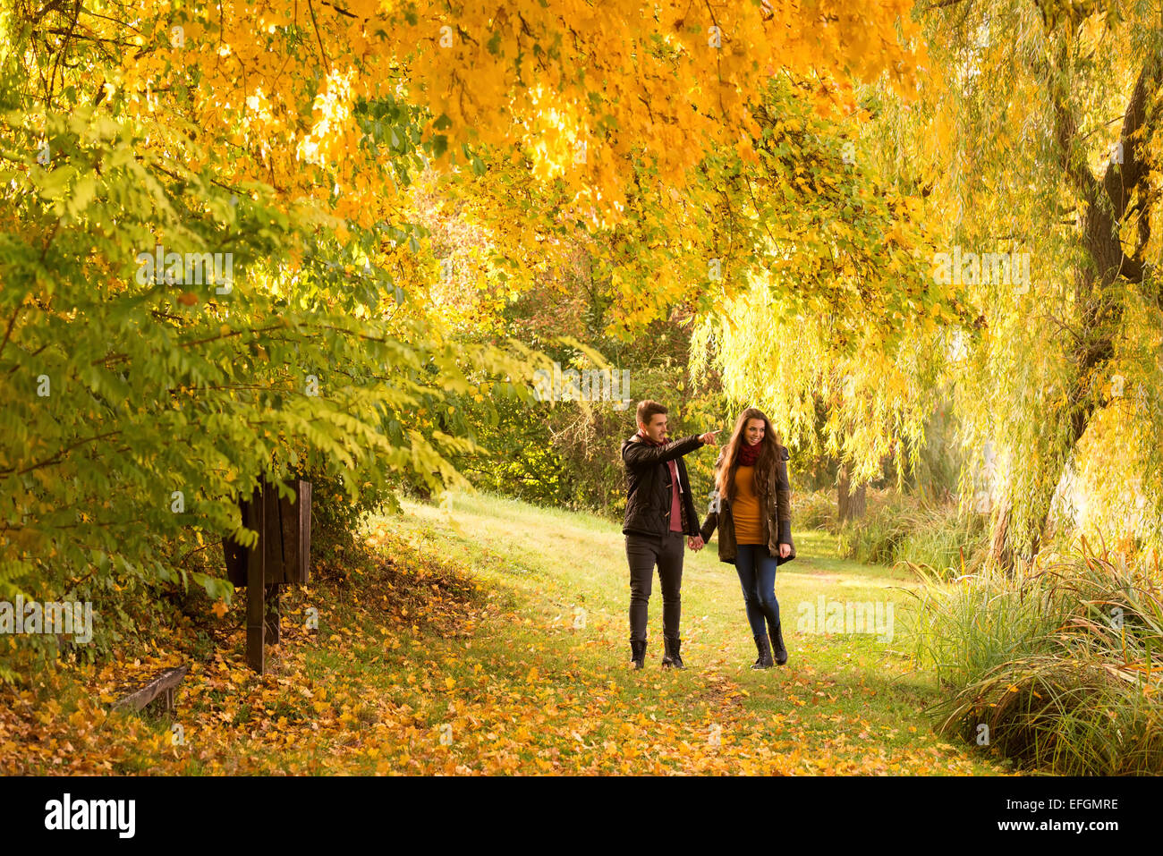 man and woman holding hands walking in the autumn park Stock Photo - Alamy