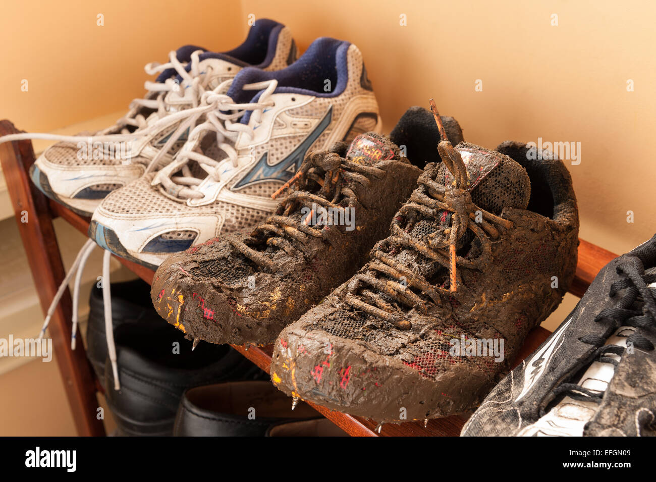 mud run trainers