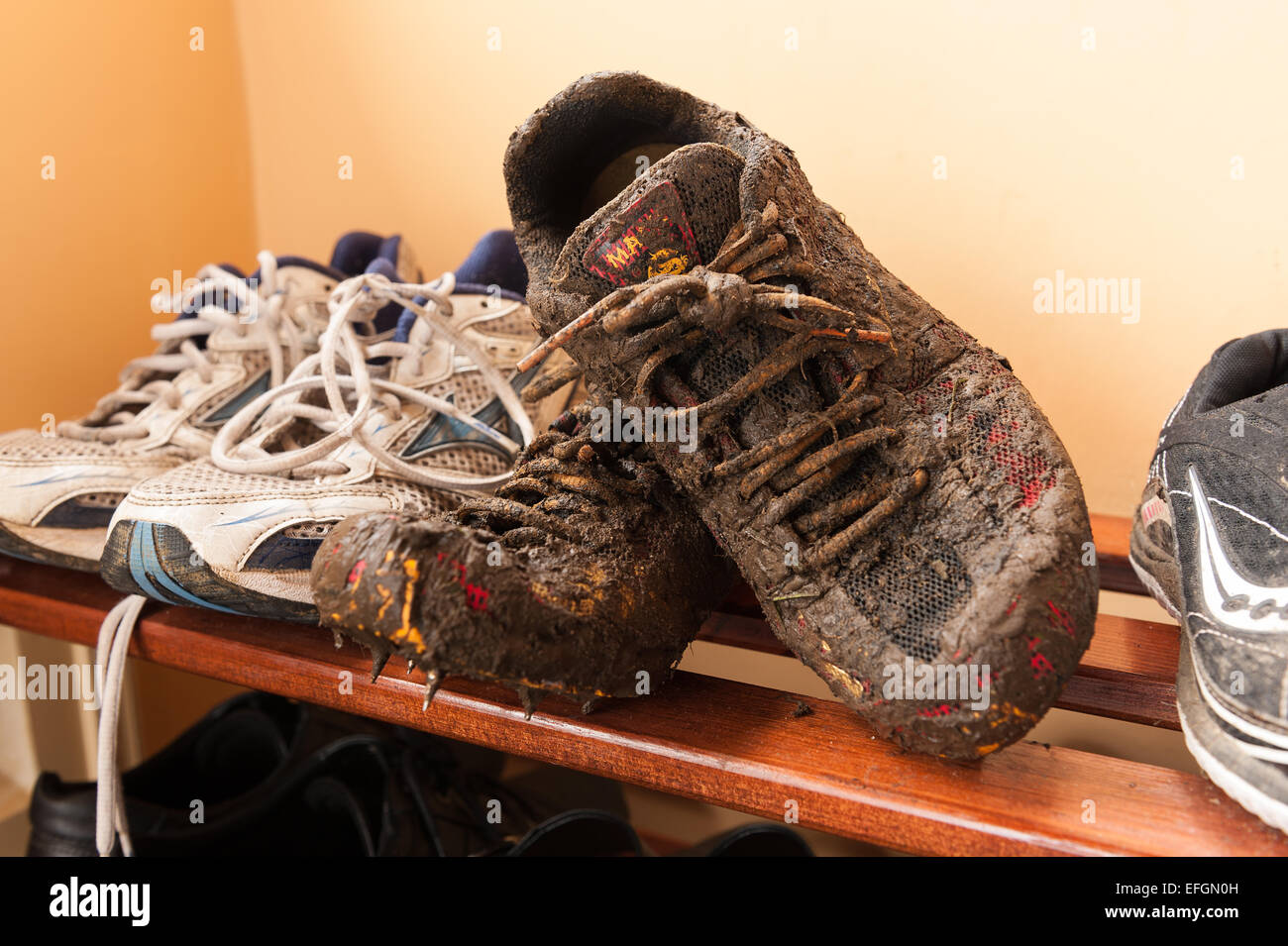 cross country training shoes