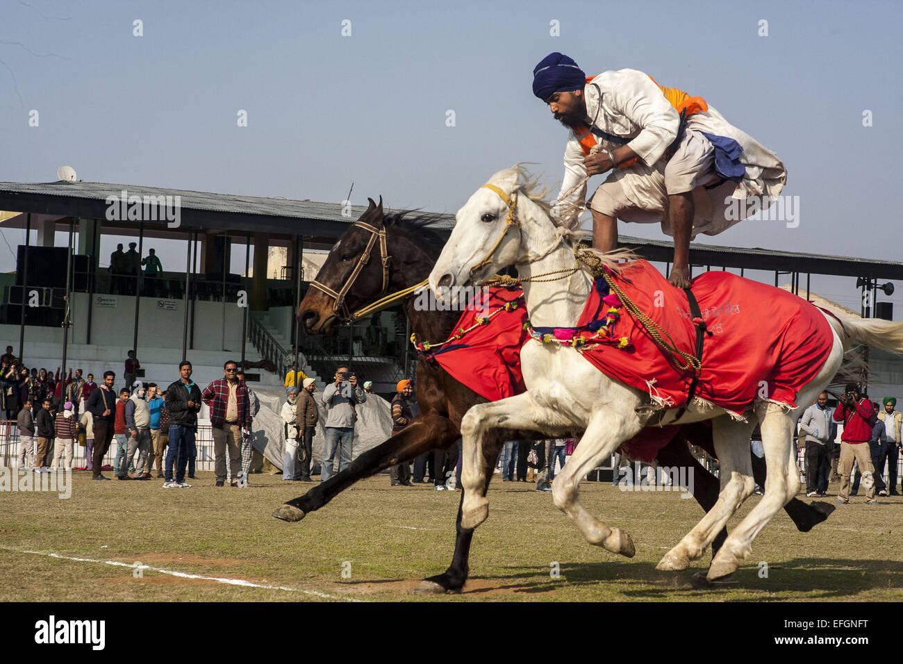 Ludhiana, Punjab, India. 29th Jan, 2015. 29th Jan 2015 - Kila Raipur, India :.A participant at the horse racing event at the Kila Raipur Rural Sports festival. © Subhash Sharma/ZUMA Wire/ZUMAPRESS.com/Alamy Live News Stock Photo