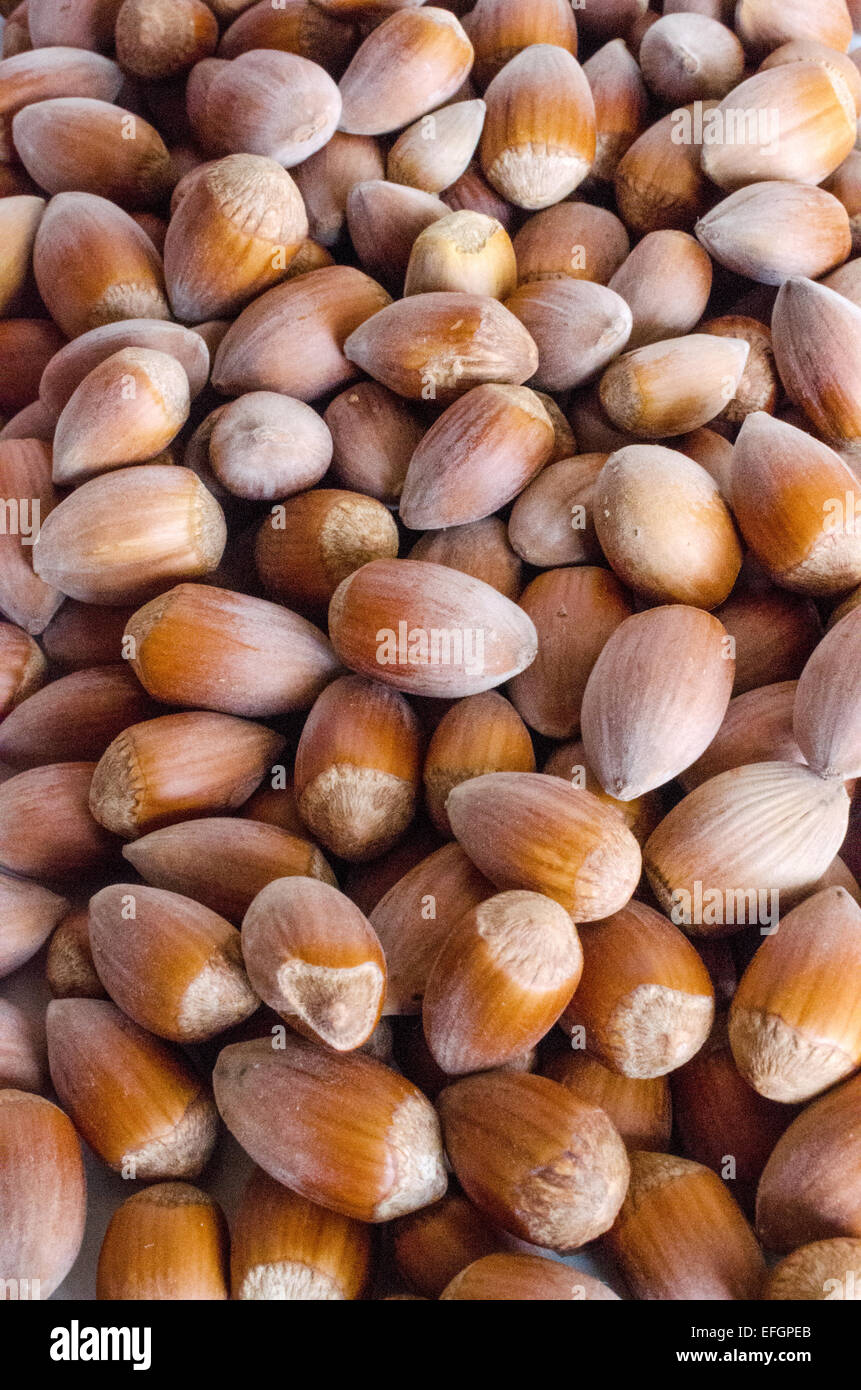 Cob nut nuts hires stock photography and images Alamy