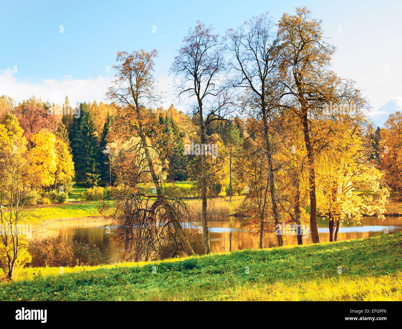 autumn landscape in park with river and blue sky Stock Photo - Alamy