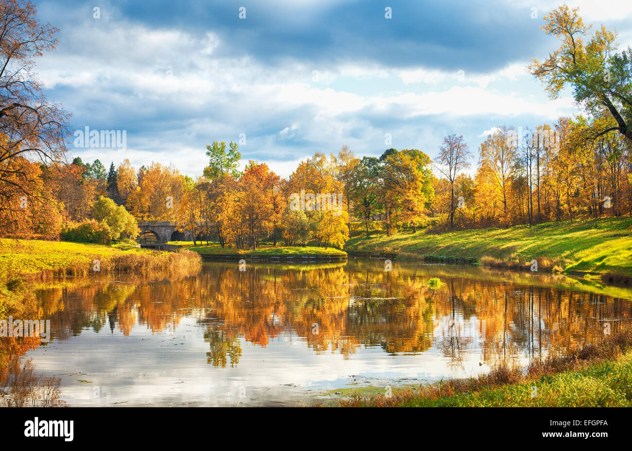 autumn landscape in park with river and blue sky Stock Photo - Alamy
