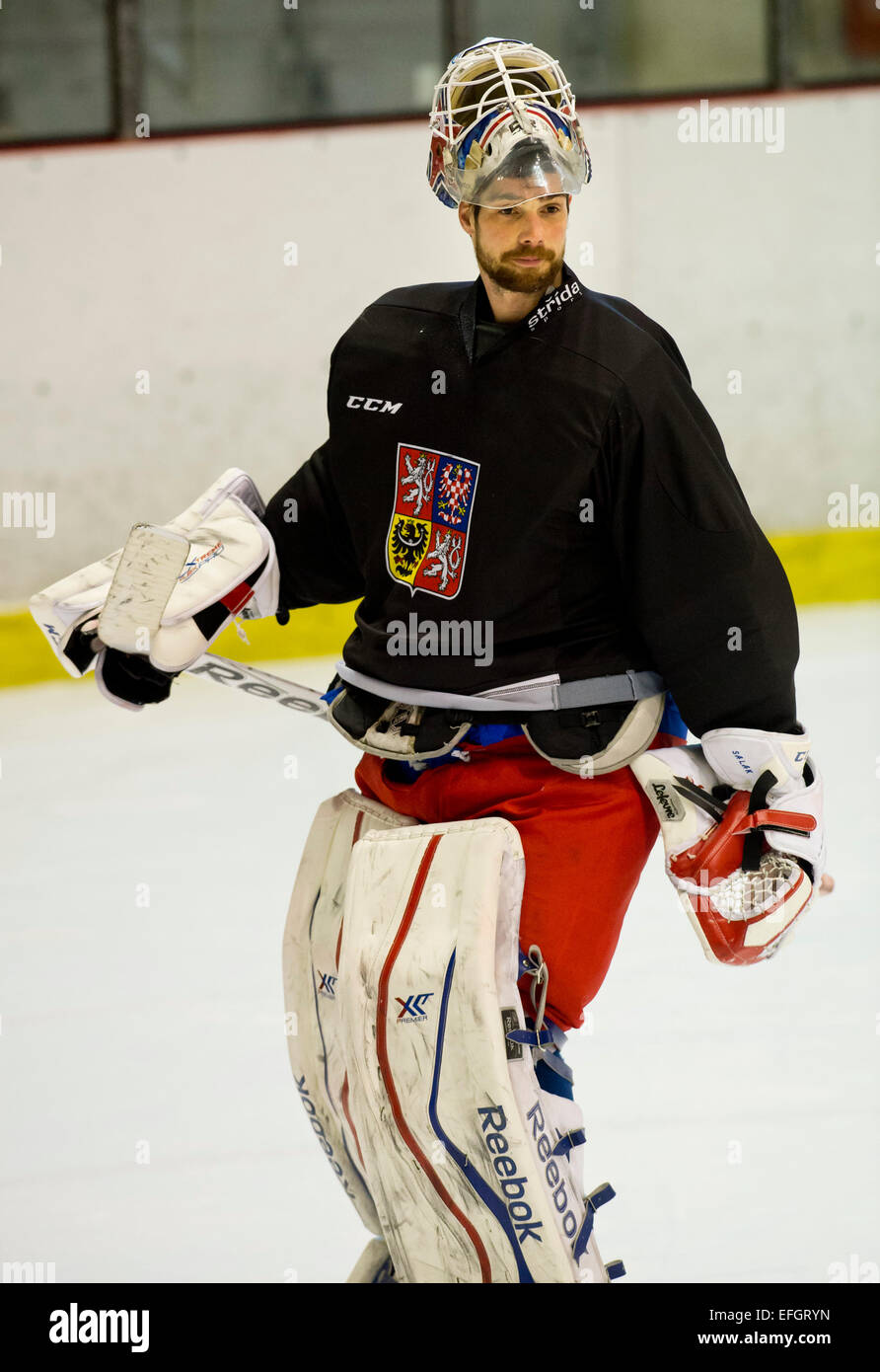 Goalkeeper Alexander Salak, new player of Czech National Ice Hockey Team,  is seen during the training session of Czech team in Prague, Czech Republic,  February 4, 2015, prior to the Euro Hockey