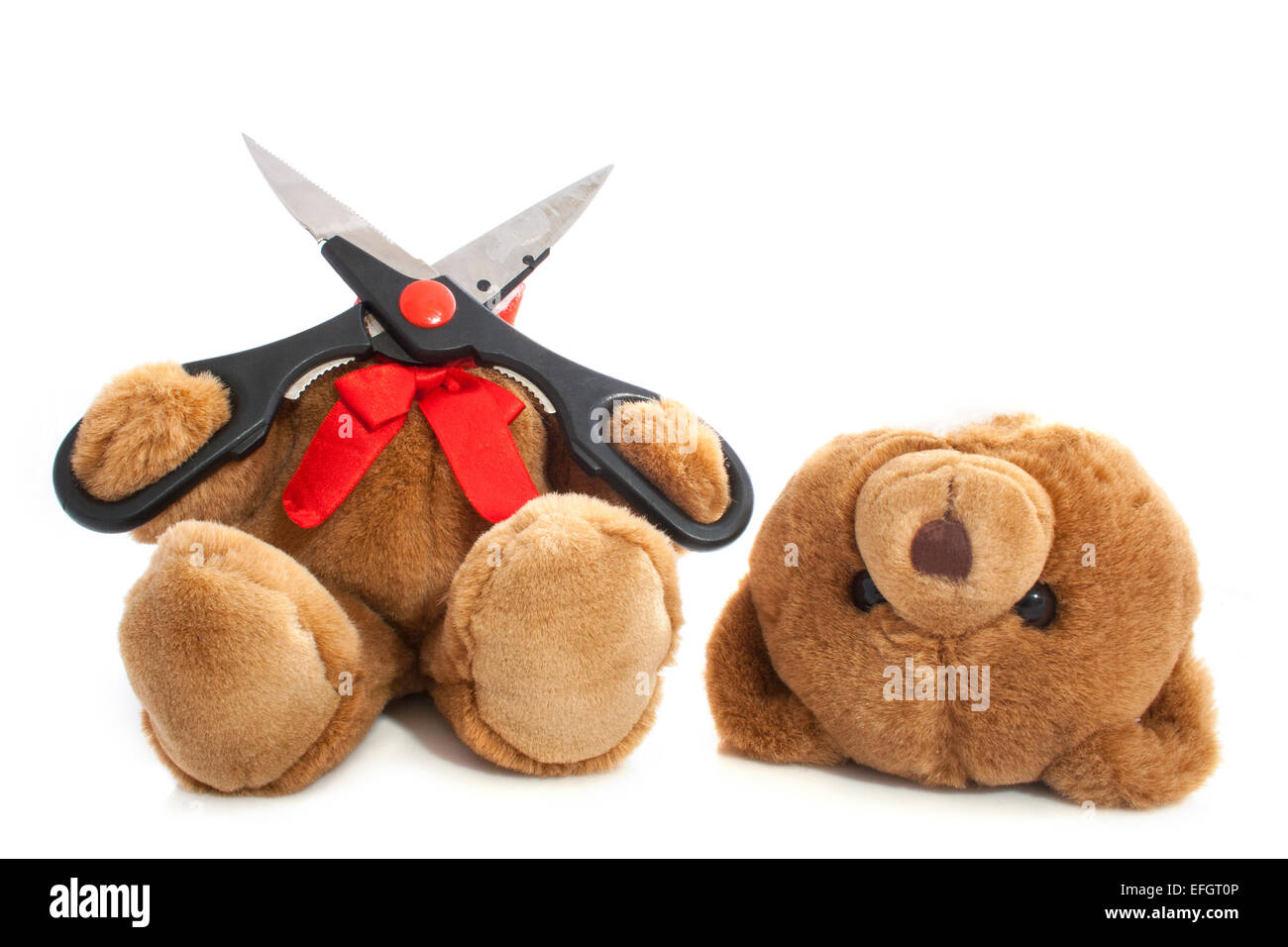 Bear whit his head cut off isolated over white Stock Photo
