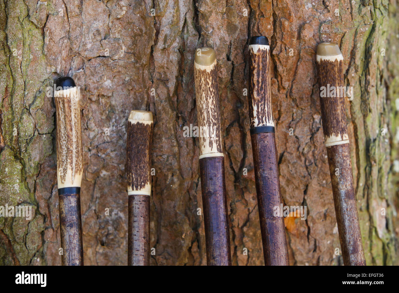 Variety of traditional handcrafted hiking sticks with deer antler handles  Stock Photo - Alamy