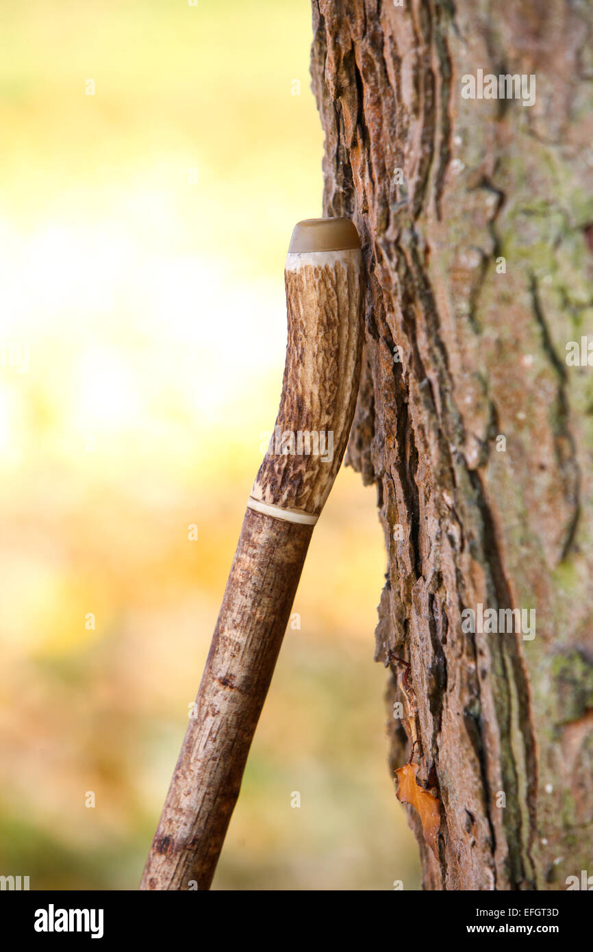 deer antler sticks