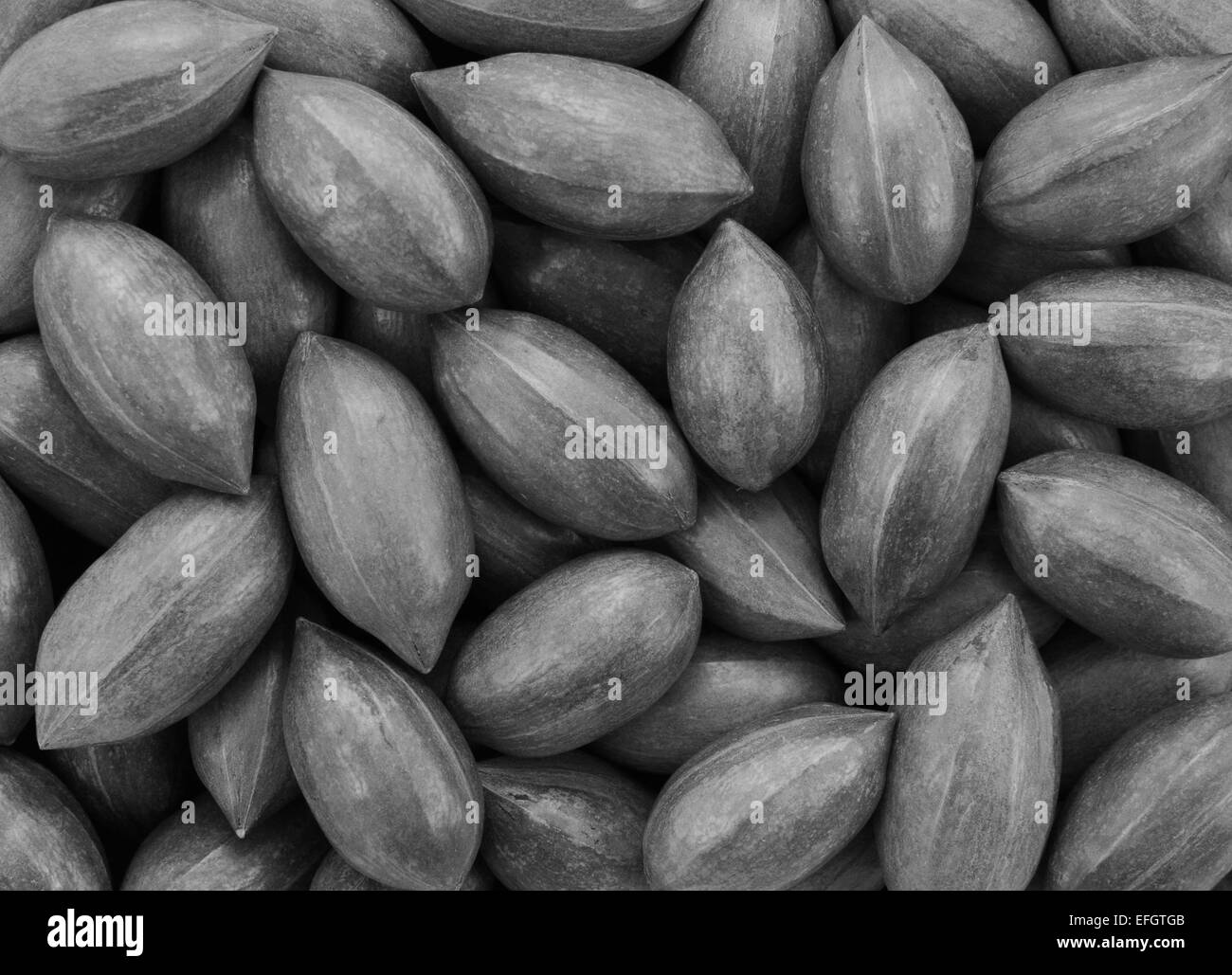 Pecan nuts as an abstract background texture - monochrome processing Stock Photo