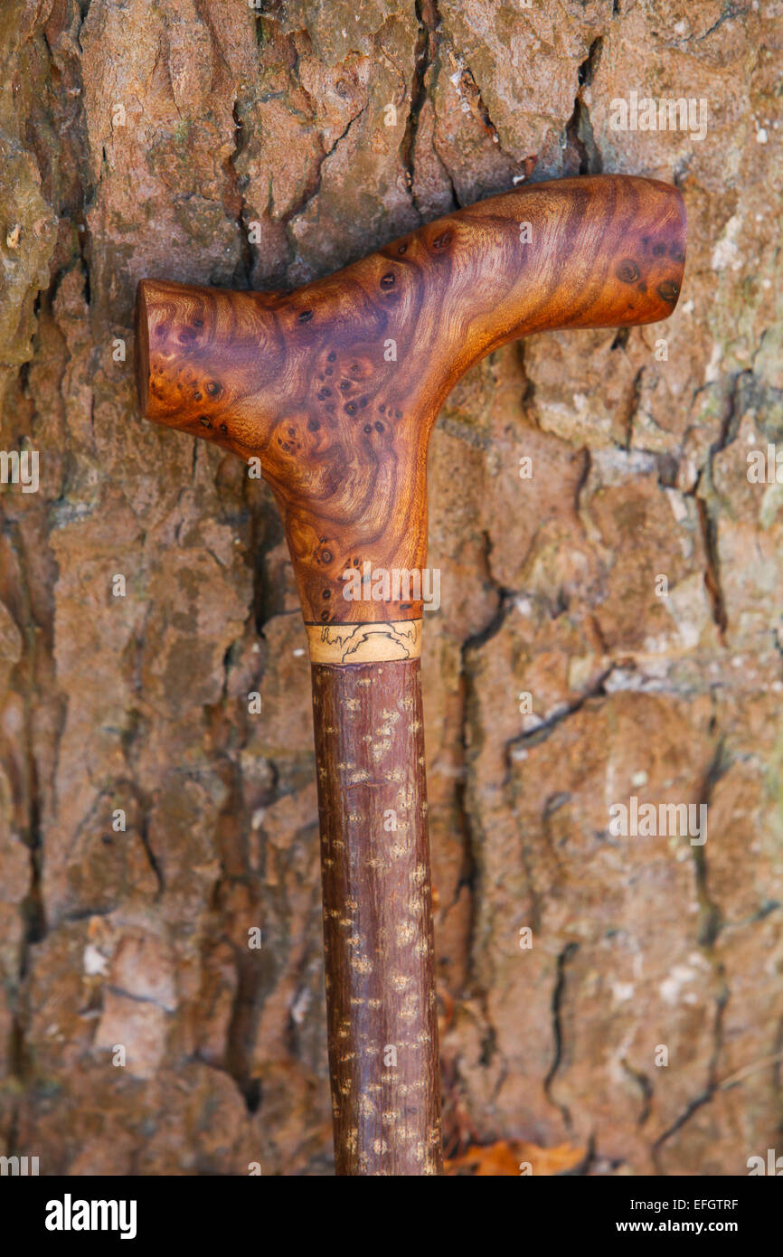 Traditional handcrafted walking stick with burr elm wood derby handle Stock Photo