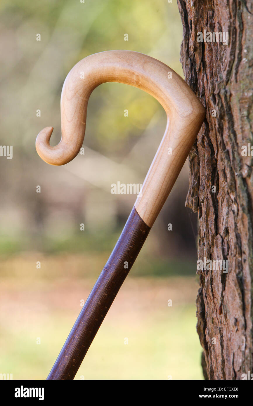 Traditional handcrafted wooden walking stick with nose out crook handle Stock Photo