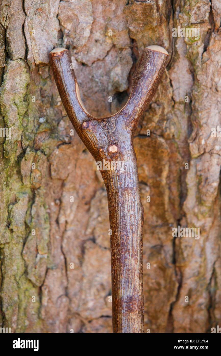 Traditional handcrafted hazel wood shepherds crook with thumbstick handle Stock Photo