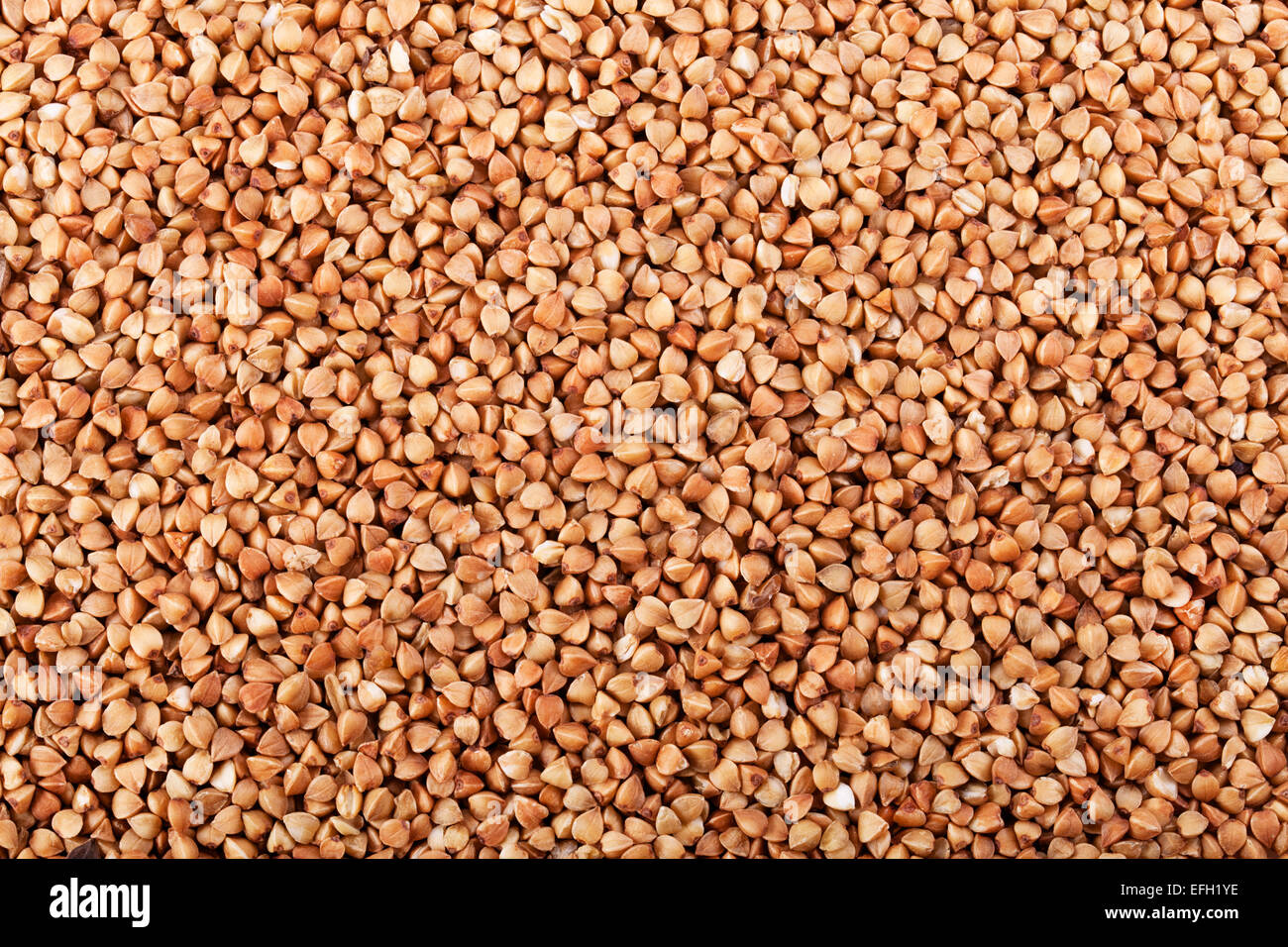 Background of fresh buckwheat for your design Stock Photo