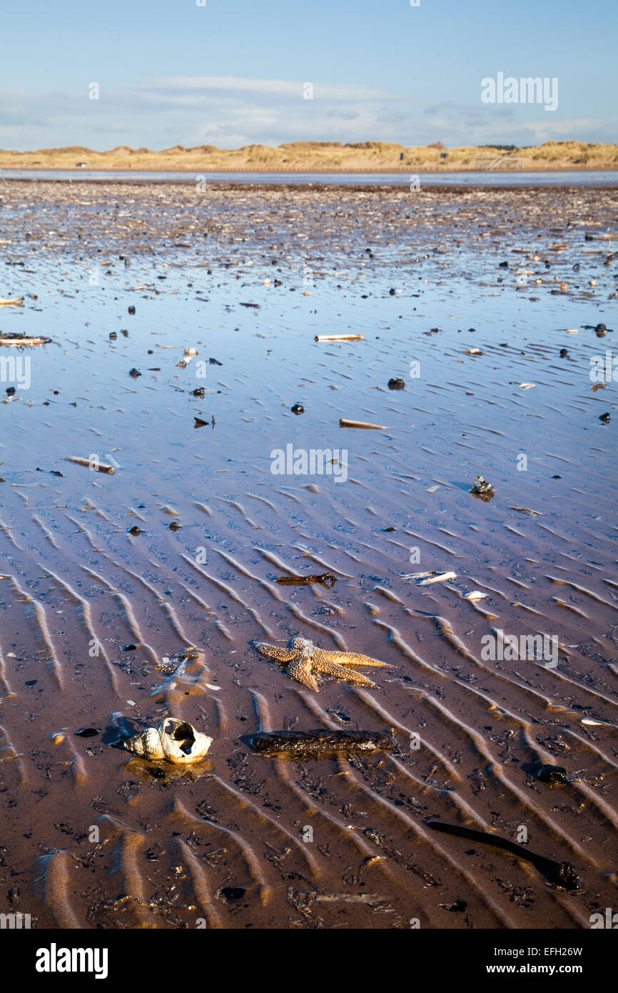 Littered Beaches High Resolution Stock Photography and Images - Alamy