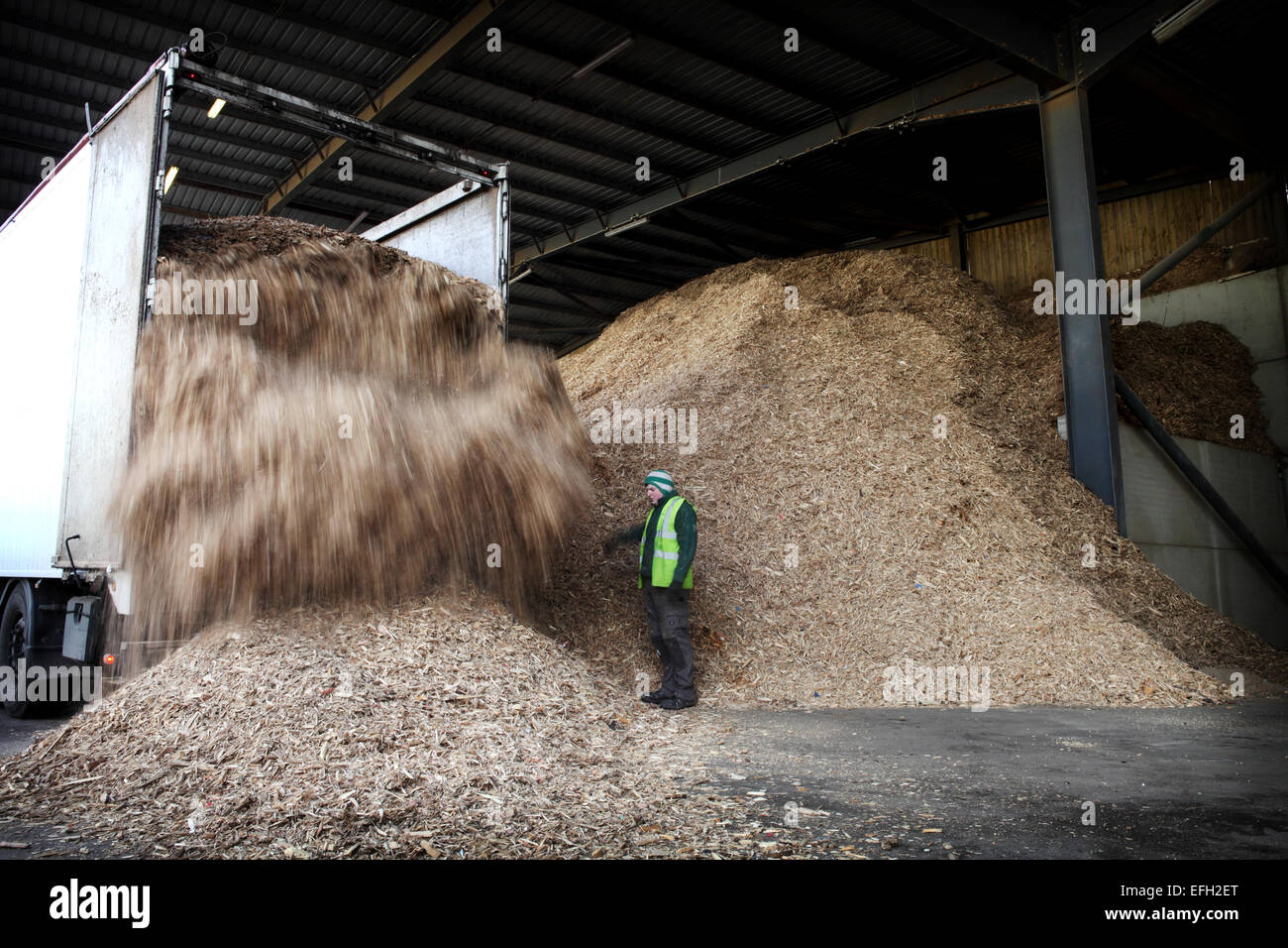 Worker checking unloading forestry waste at biomass plant Stock Photo