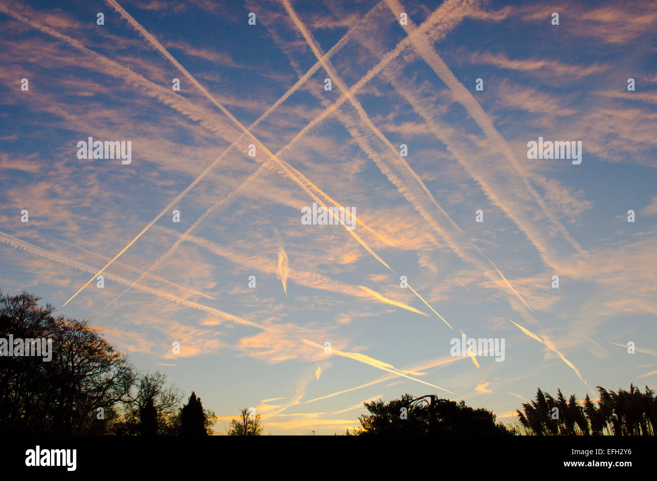 Vapour trails from planes in sky showing flight path over Midhurst Sussex UK Sunrise Stock Photo