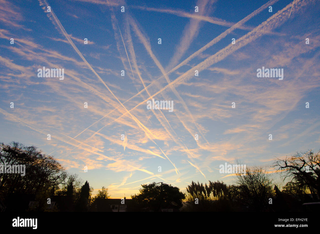Vapour trails from planes in sky showing flight path over Midhurst Sussex UK Sunrise Stock Photo