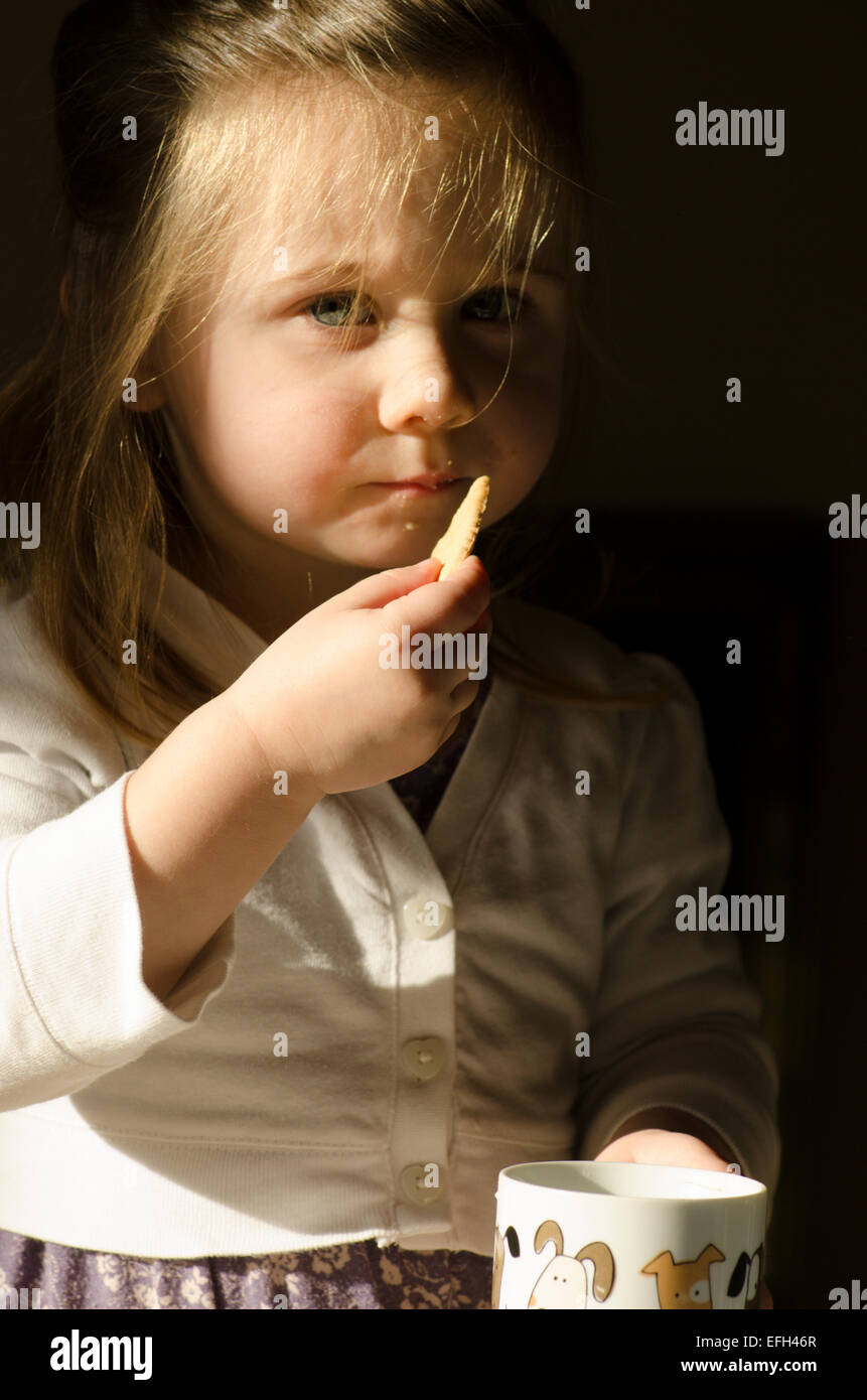 Two year old girl dunking biscuit in mug of tea Stock Photo Alamy