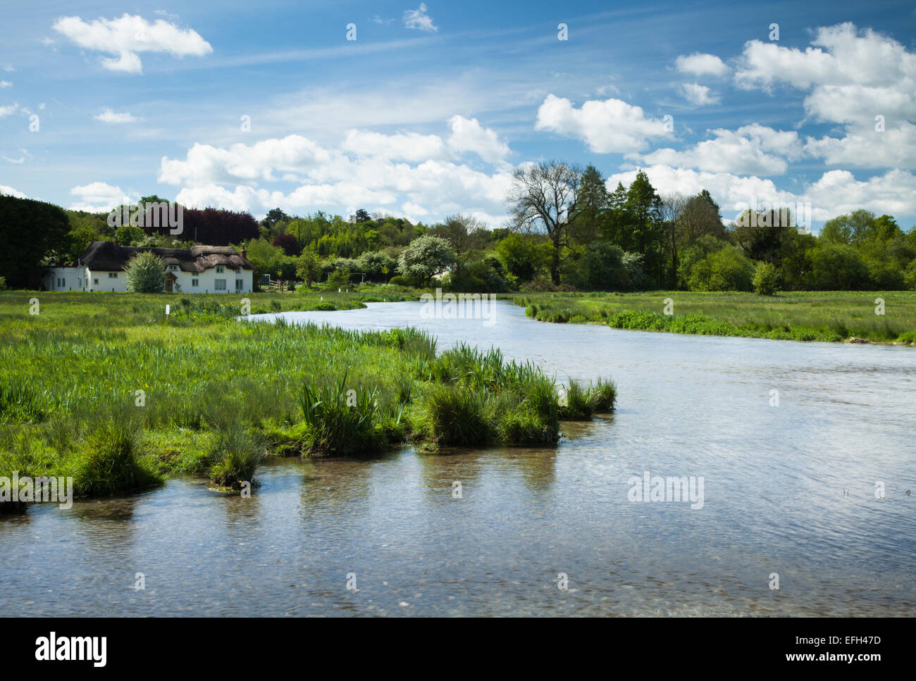 The River Test meandering through the watermeadows of Chilbolton Cow ...