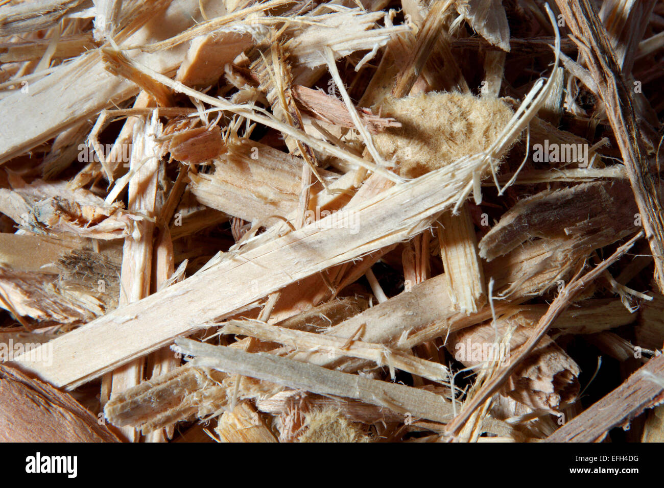 Close up of wood shavings for biomass Stock Photo