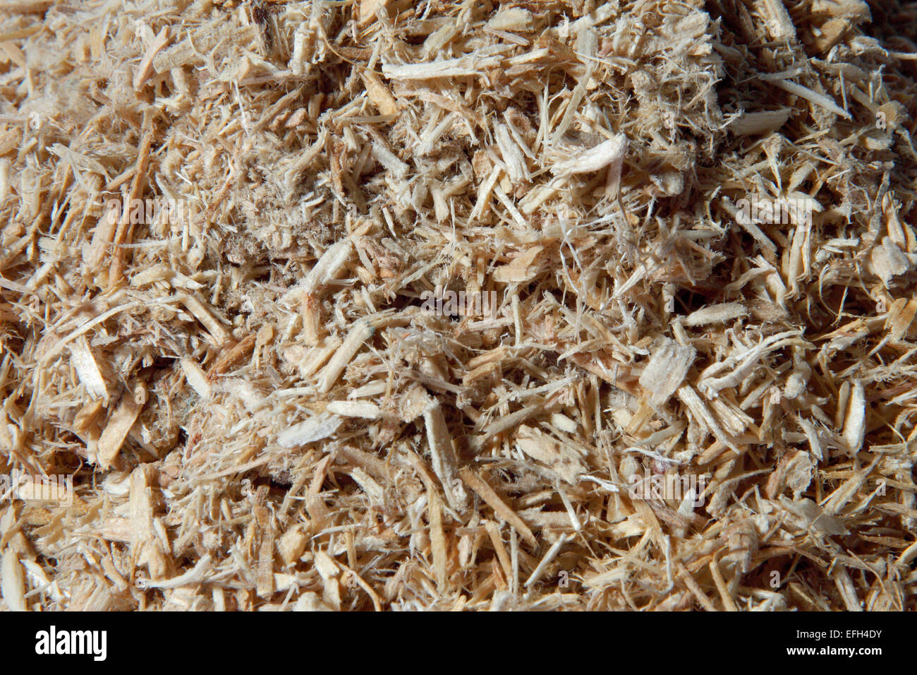 Forestry waste wood shavings for biomass Stock Photo