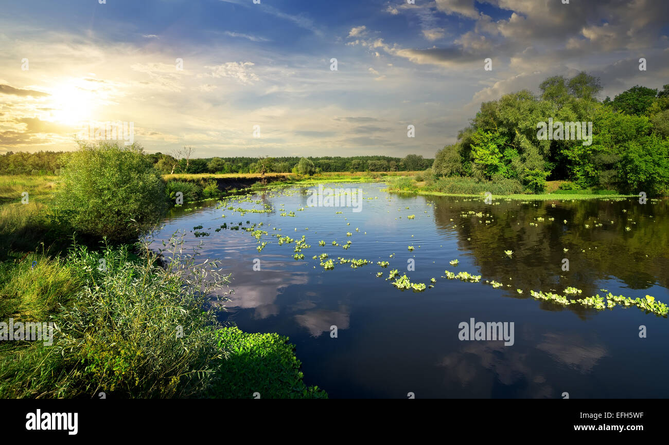 Tranquil river environment hi-res stock photography and images - Alamy