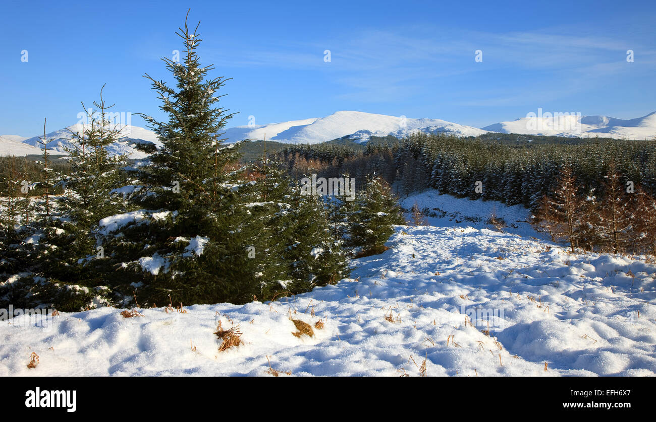 Winter in Glen Spean, Inverness-shire Stock Photo