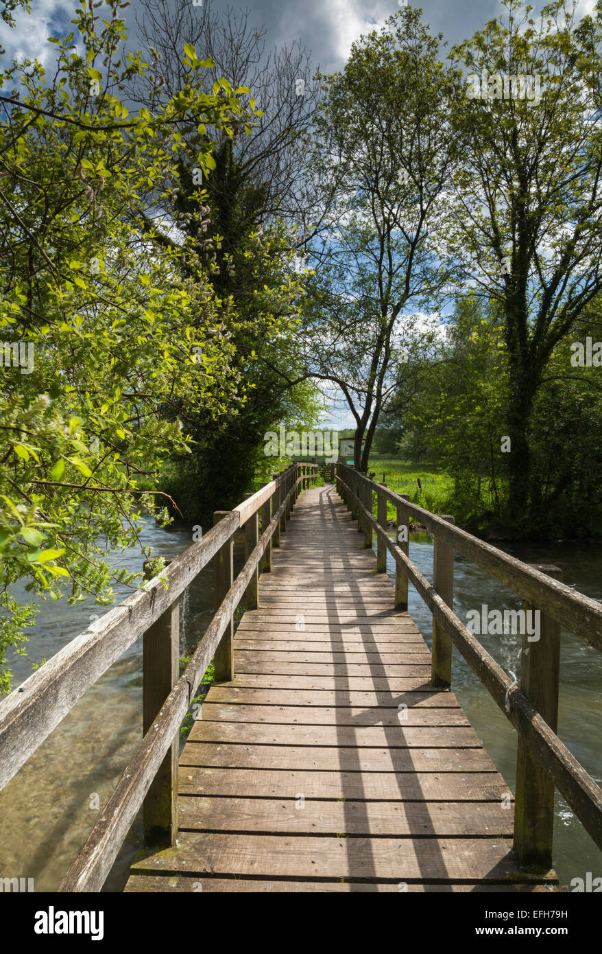 Wooden footbridge or walkway crosses a wide section of the River Test from Wherwell to Chilbolton Cow Common, Test Valley, Hampshire, England Stock Photo