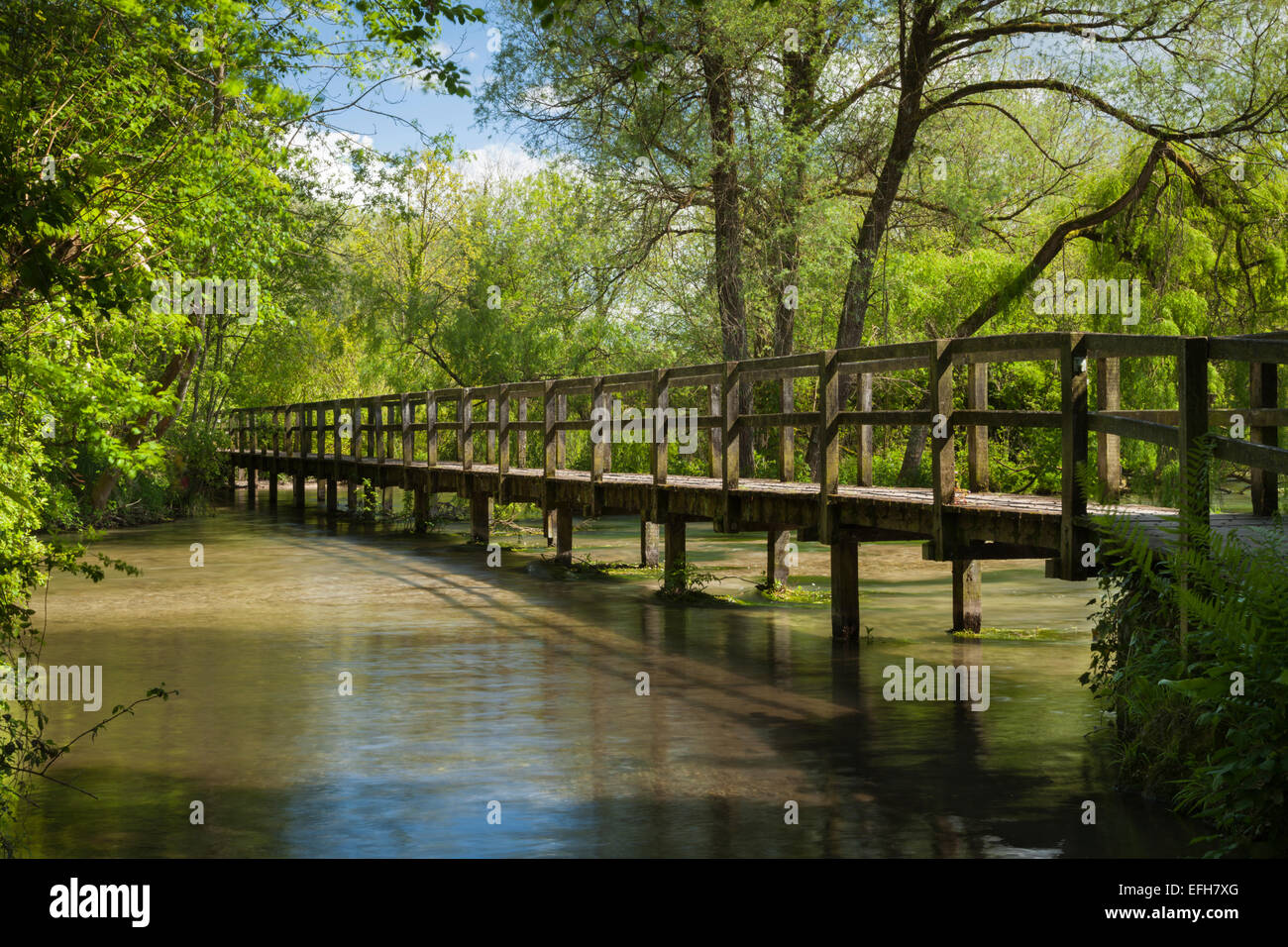 Wooden footbridge or walkway crosses a wide section of the River Test from Wherwell to Chilbolton Cow Common, Test Valley, Hampshire, England Stock Photo