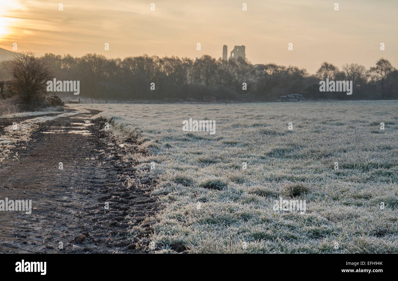 frost settled on grass and track in early morning sun with castle ruin in background Stock Photo