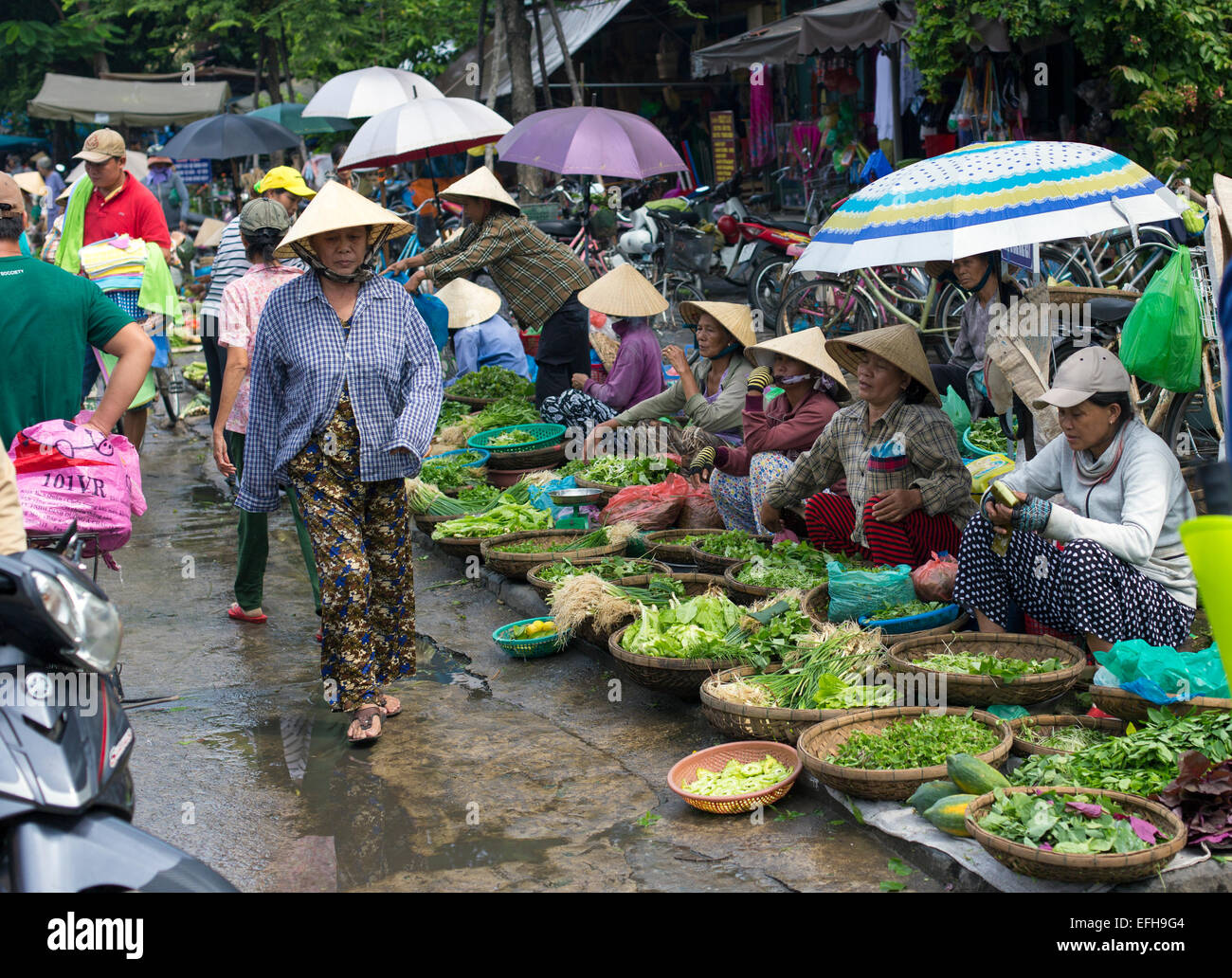 HOI AN, VIETNAM - October 17th, 2014. Fruits and vegetables vendors selling products at Hoi An market in Hoi An Ancient Town, Qu Stock Photo