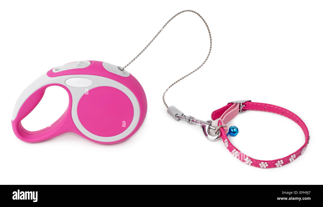 Pink retractable leash for dog and jeweled collar with blue bell isolated on white background Stock Photo