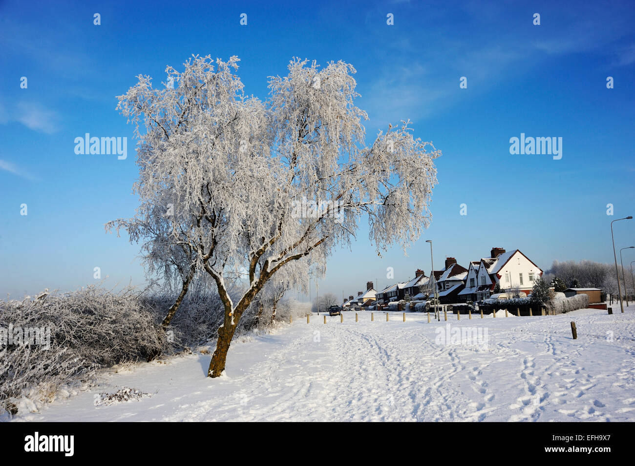 Snow covered trees & houses against a blue sky Stock Photo - Alamy