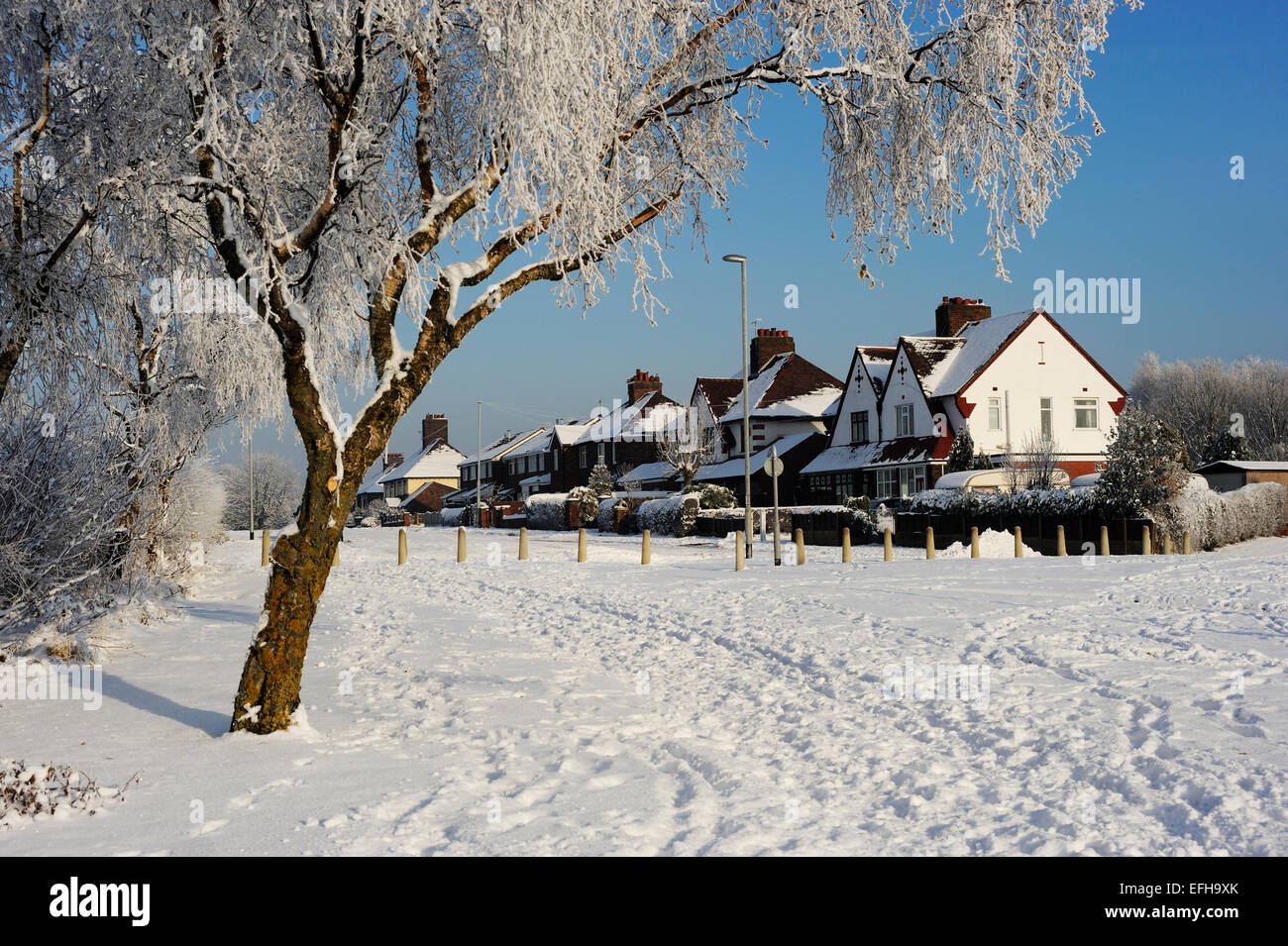 Snow covered trees & houses against a blue sky Stock Photo - Alamy