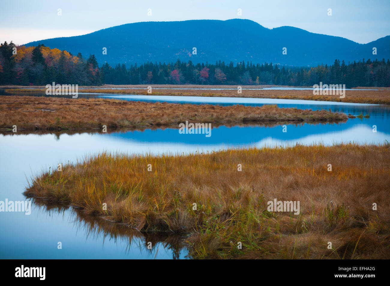 Bass Harbor Marsh and the view towards Bernard Mountain and Mansell
