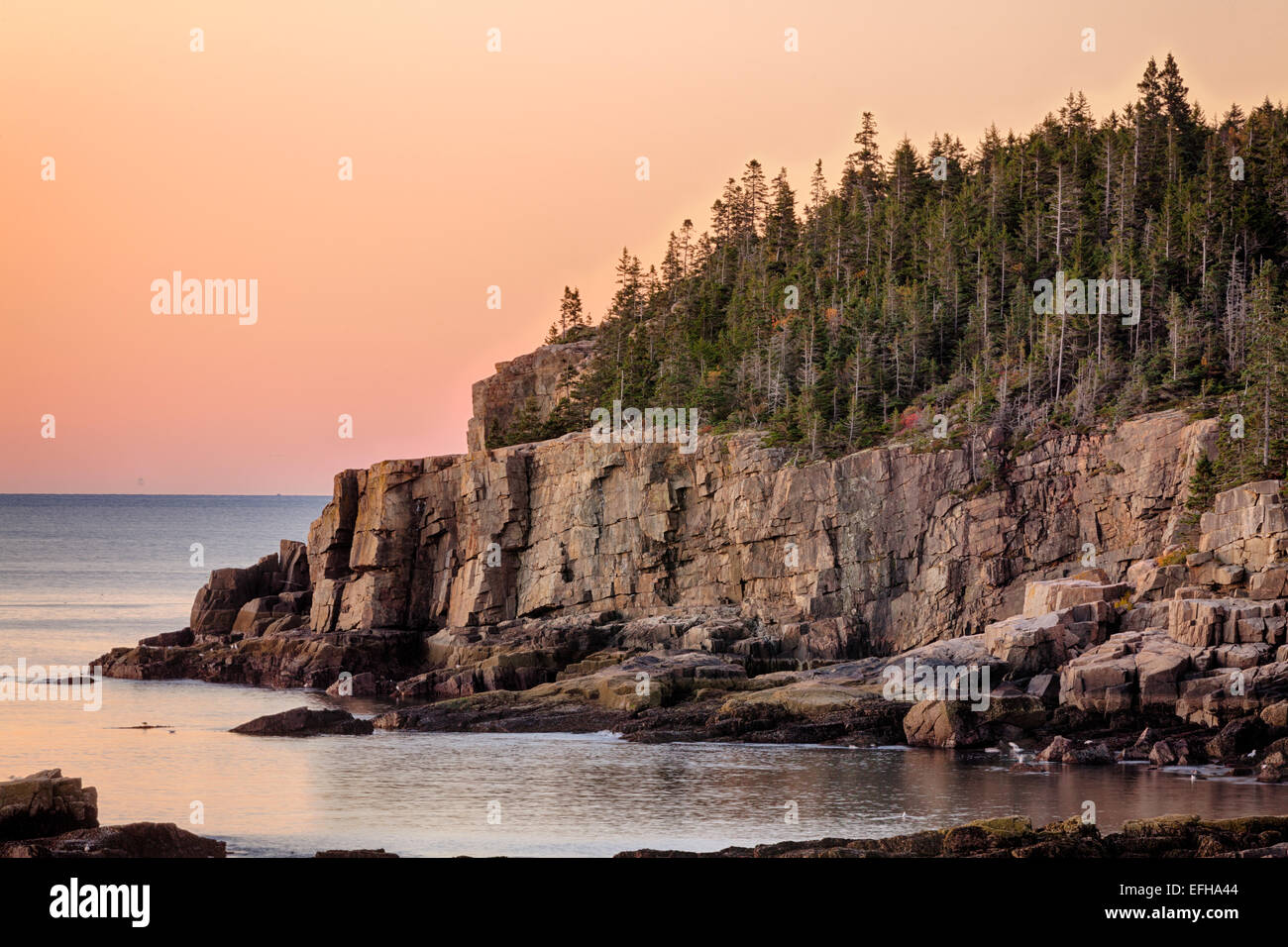 Sunrise, Otter Cliff, Acadia National Park, Maine, USA Stock Photo Alamy