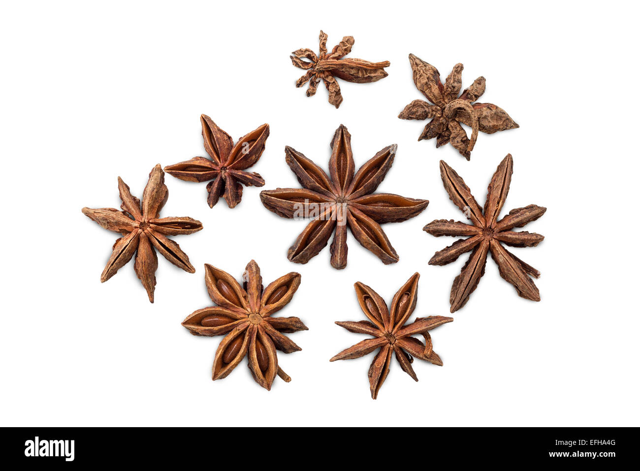 Closeup of several star anises (star aniseed or Chinese star anise