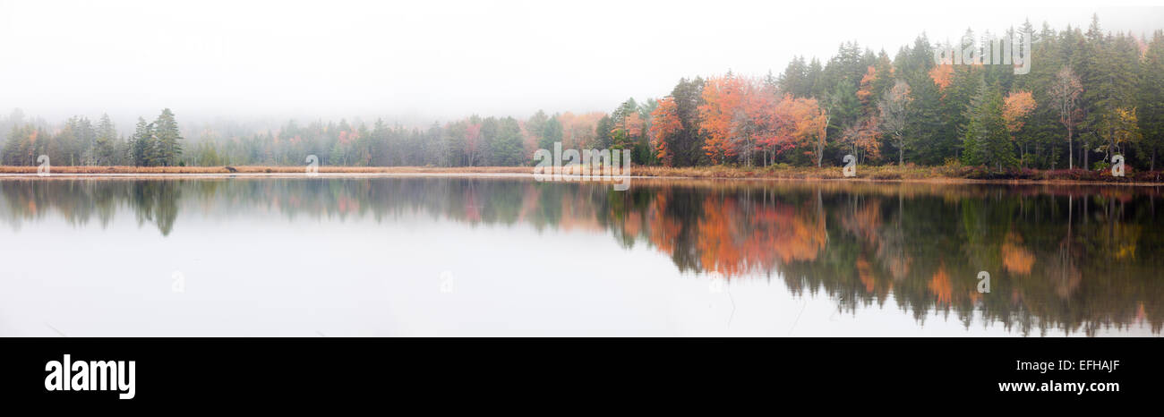 Trees reflecting in the water on Little Long Pond, Acadia National Park, Maine, USA Stock Photo