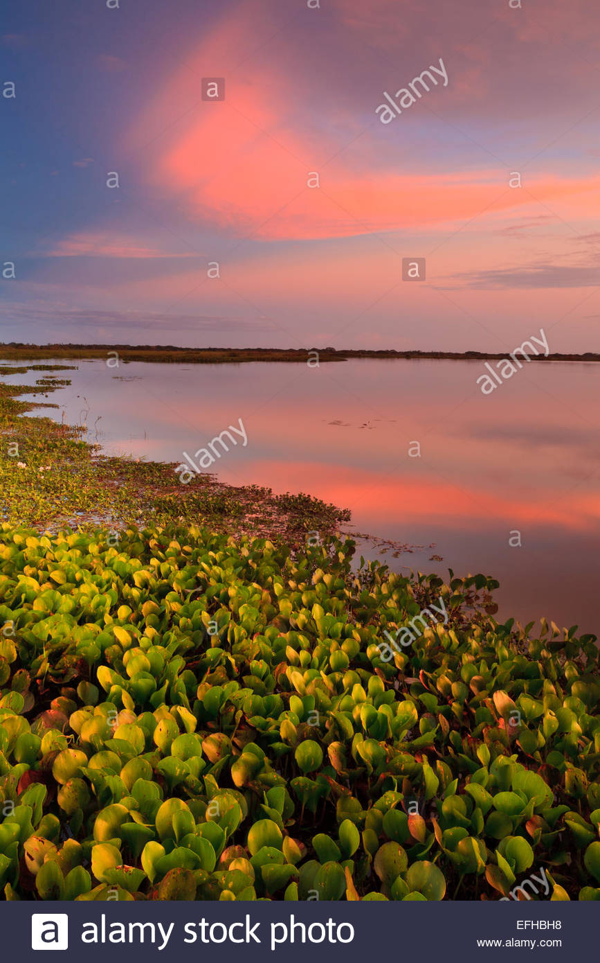 Colorful evening skies at Refugio de vida Silvestre Cienaga las Macanas, Herrera province, Republic of Panama. Stock Photo