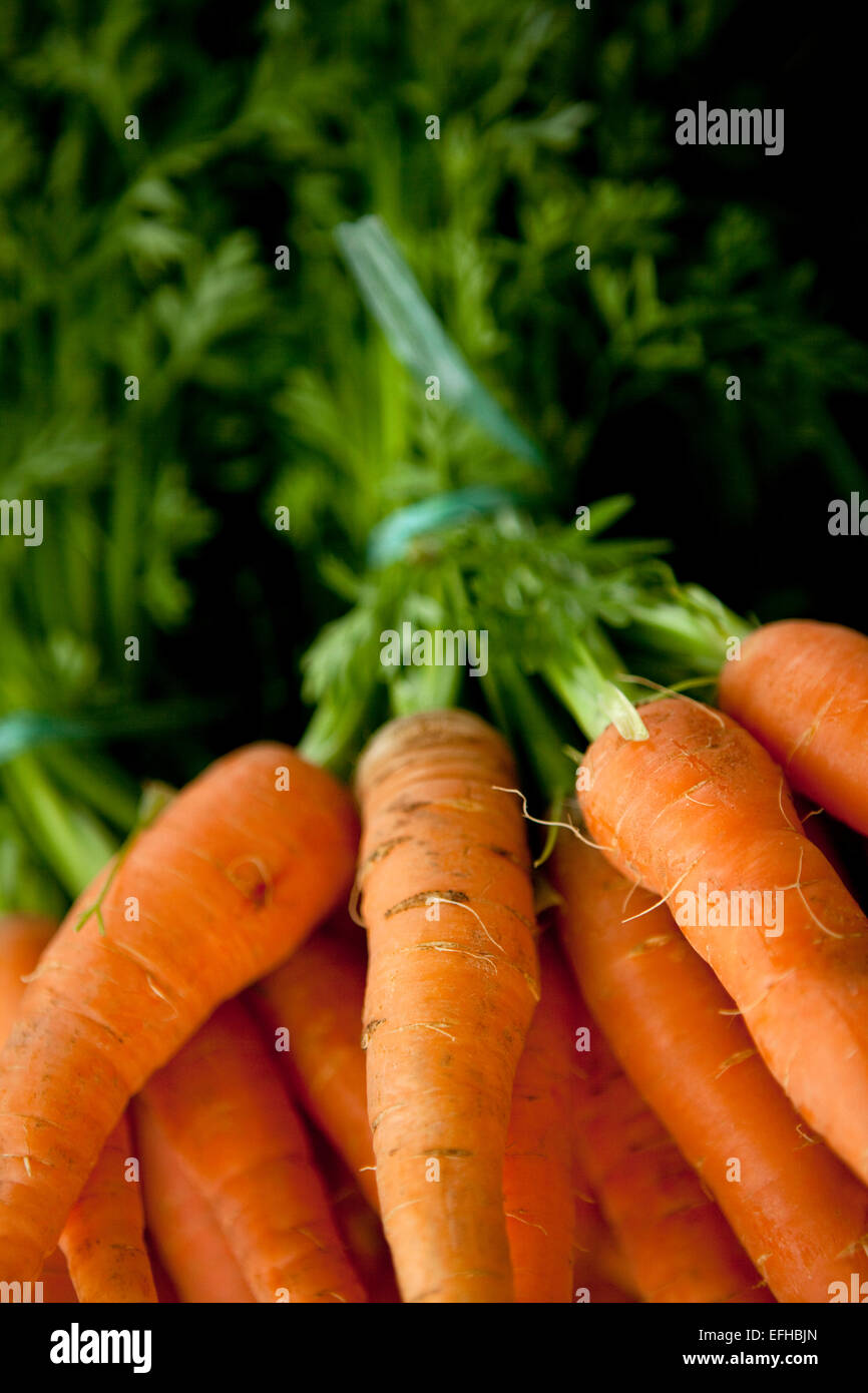 Bunch of carrots on a market stall Stock Photo Alamy