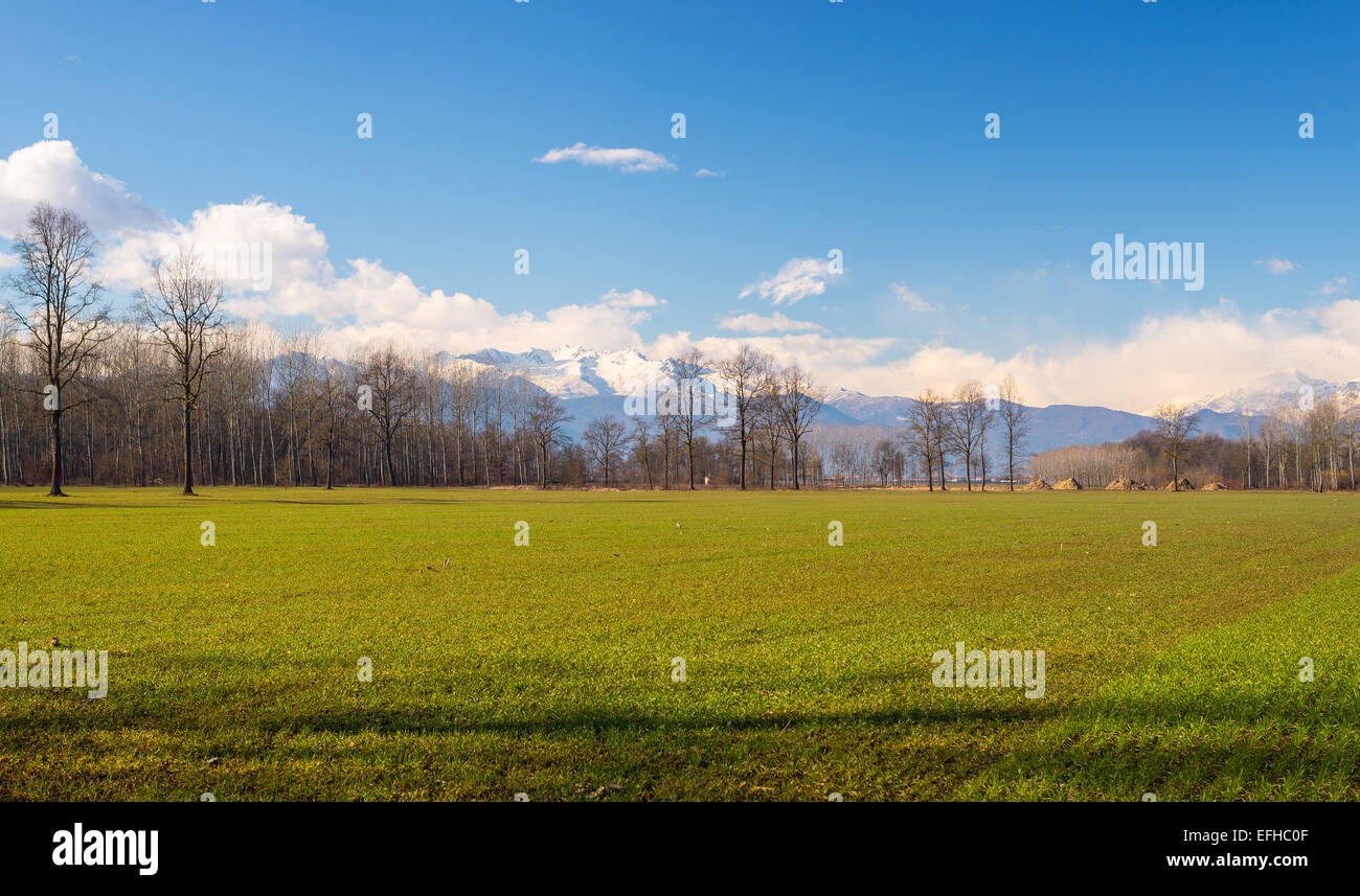 Landscape of cultivated fields and farms with the snowcapped Alps in the background in late winter season. Agriculture in Torino Stock Photo