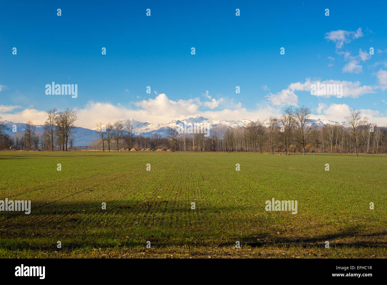 Landscape of cultivated fields and farms with the snowcapped Alps in the background in late winter season. Agriculture in Torino Stock Photo