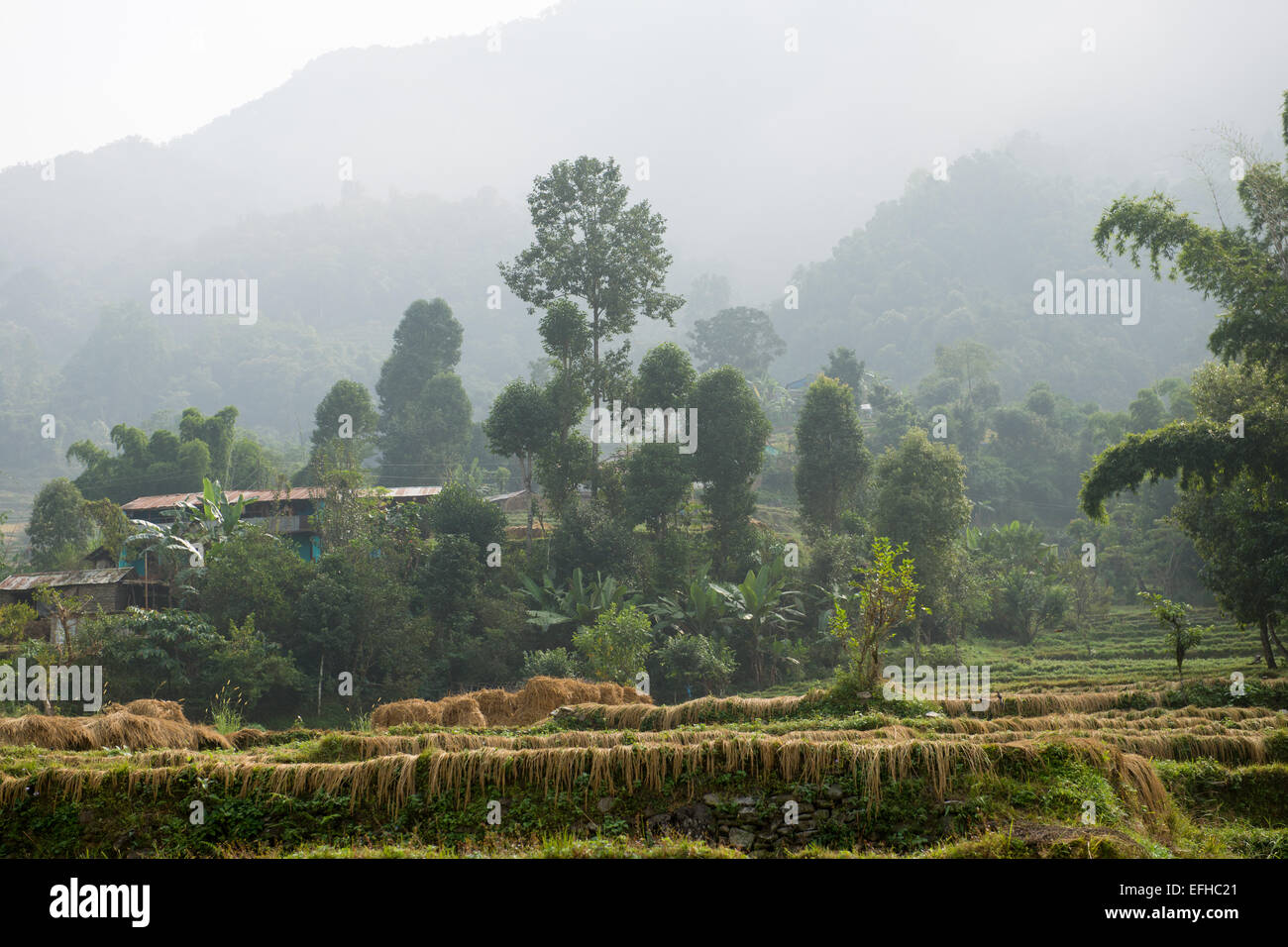 Hillside Dwellings High Resolution Stock Photography and Images - Alamy