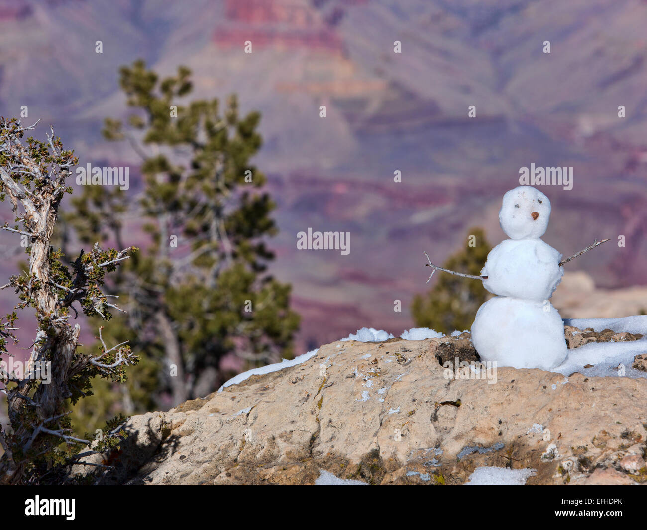 Grand Canyon, Arizona, Frosty snowman on the edge of the canyon Stock Photo