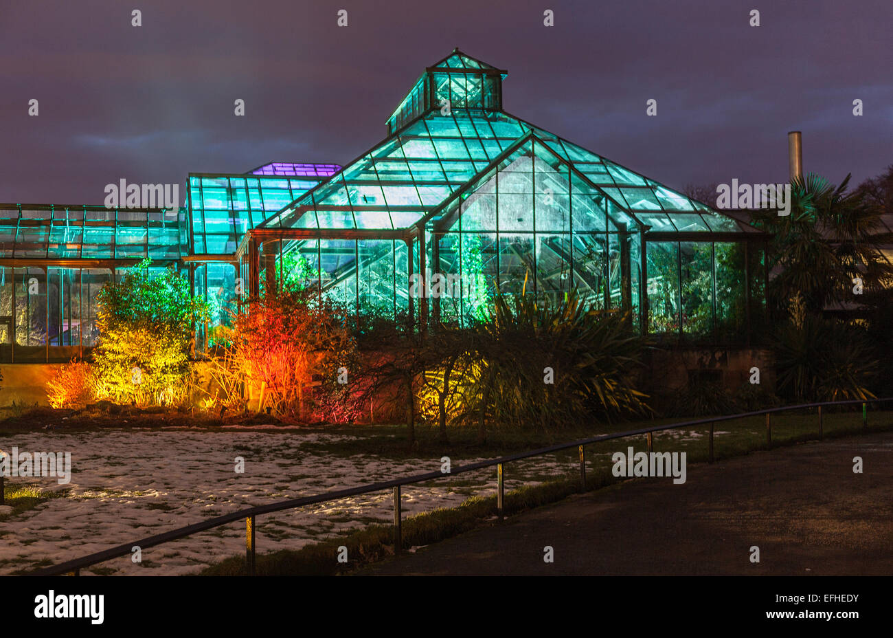 Illuminated Main Range of Glasshouse The Electric Gardens / Lux