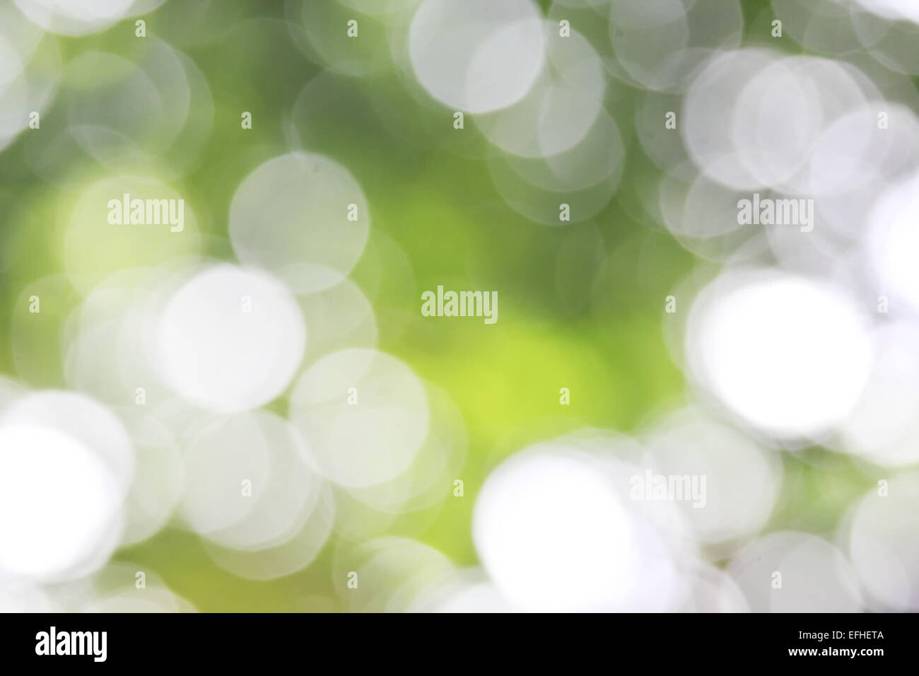 Green background abstract blue bokeh hi-res stock photography and ...