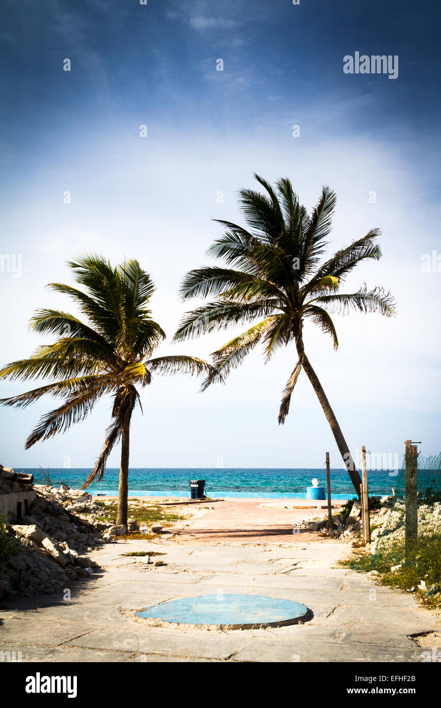 Palm trees at the Caribbean sea in Mexico near Cancun Stock Photo