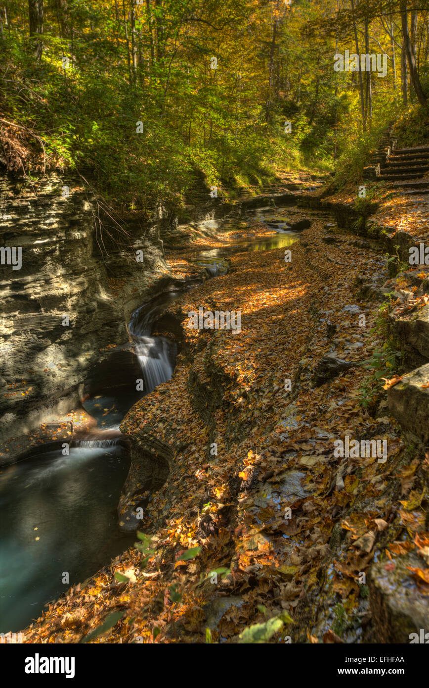 Buttermilk Falls State Park in Ithaca. Part of the Finger Lakes Region
