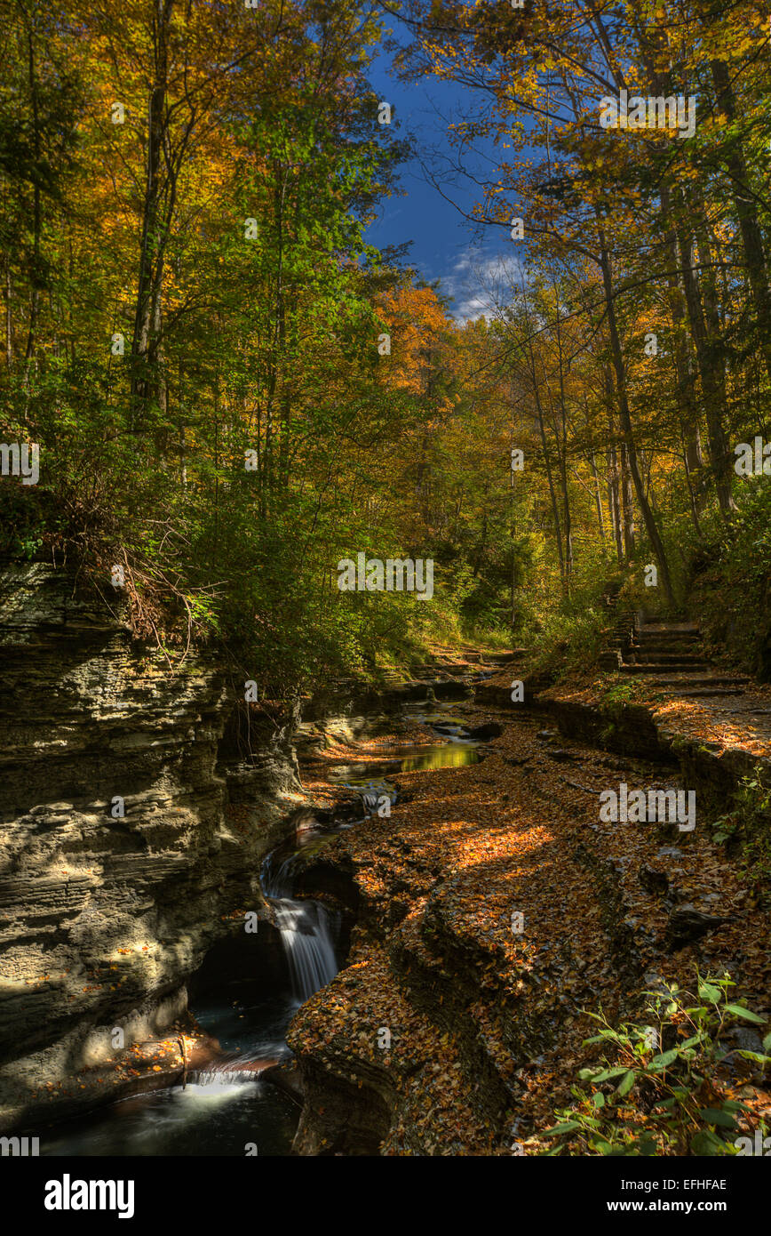 Buttermilk Falls State Park in Ithaca. Part of the Finger Lakes Region